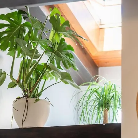 Terrazza Privata! Con Wi-fi E Aria Condizionata Apartamento Alguer